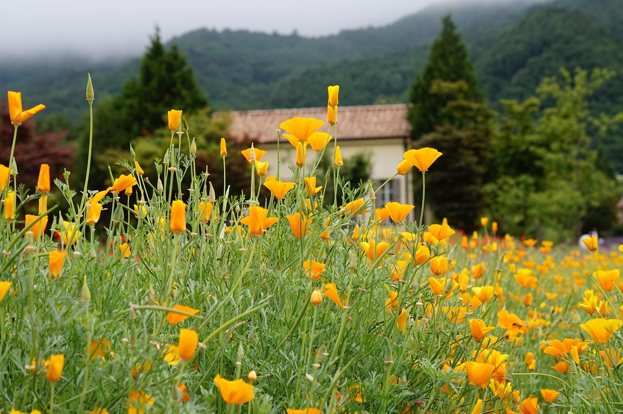 微博实名账号：实名制账号对于股票交易的影响