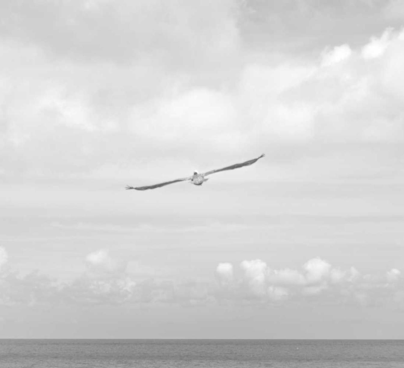 云烟印象烟庄：闵行区零申报代理记账平台